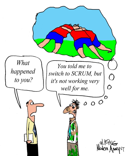 Humor - Cartoon: Be Careful when you Switch to SCRUM!!!